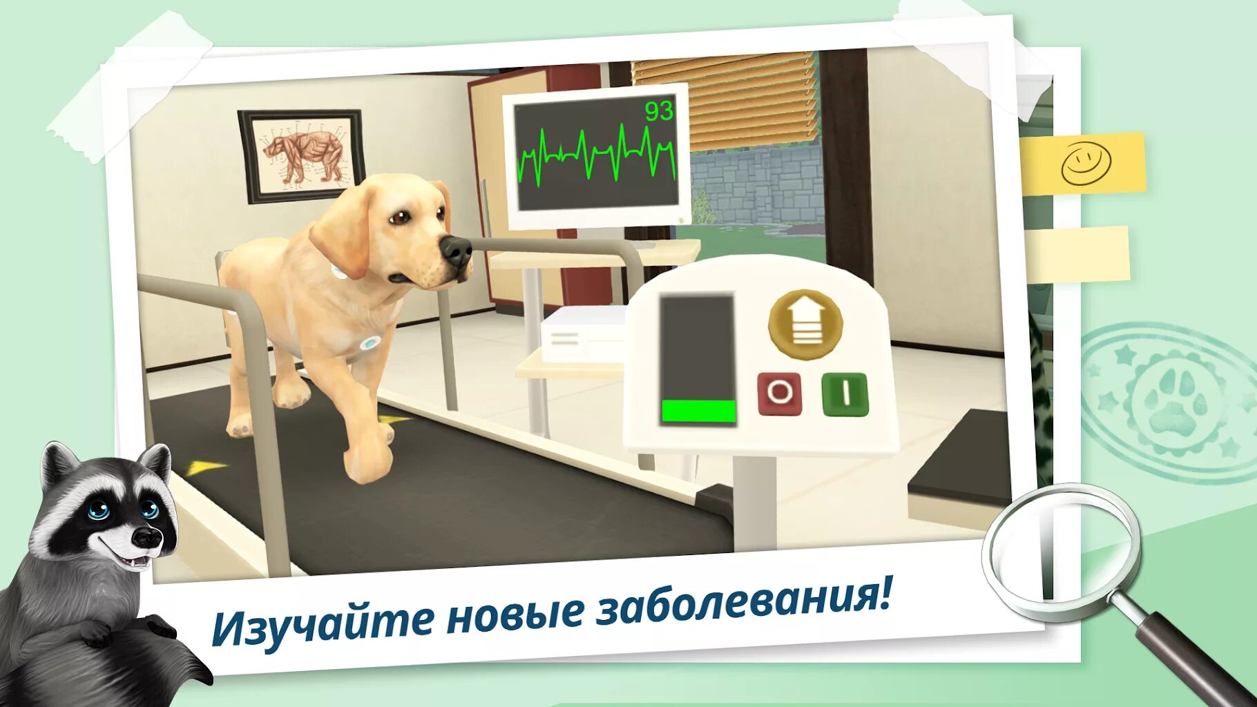 Pet world игра приют для животных. Petworld. Pet world мод много денег. Кэт сим. Игра ветеринарная клиника.