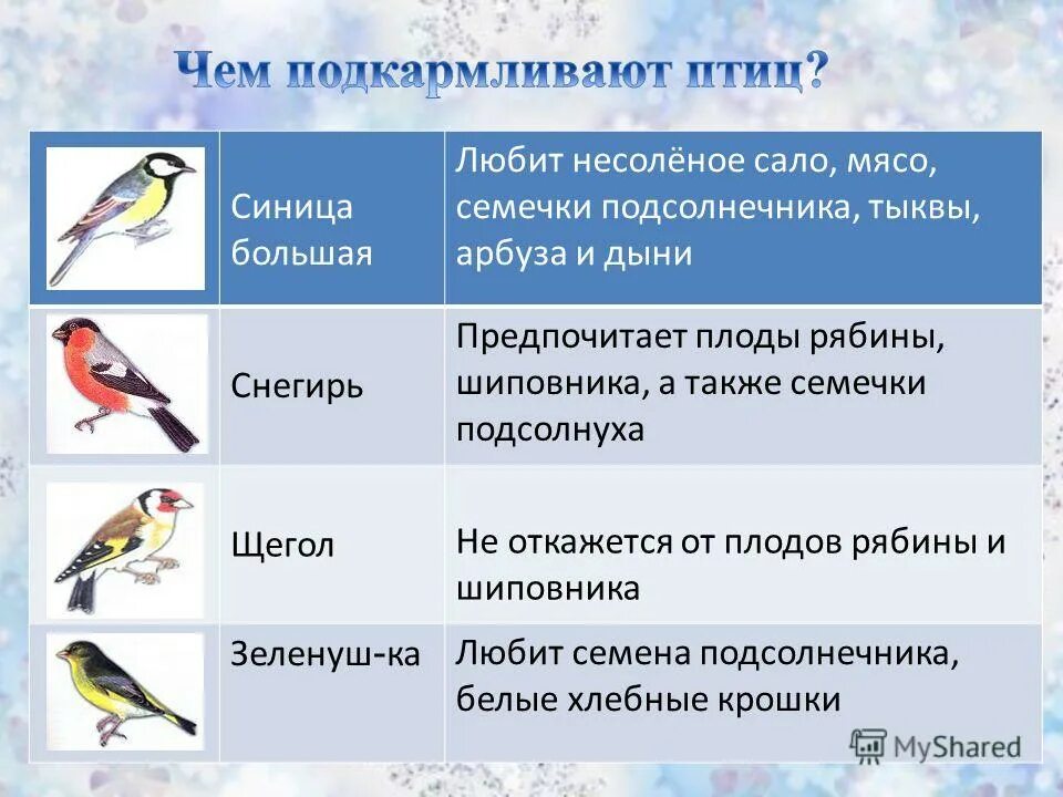 Сообщение о синице. Презирать растащить низкий безграничный синицы. Птица синица в водицу глядится. Задание 5 орфографический анализ с ответами. Задача про снегирей.