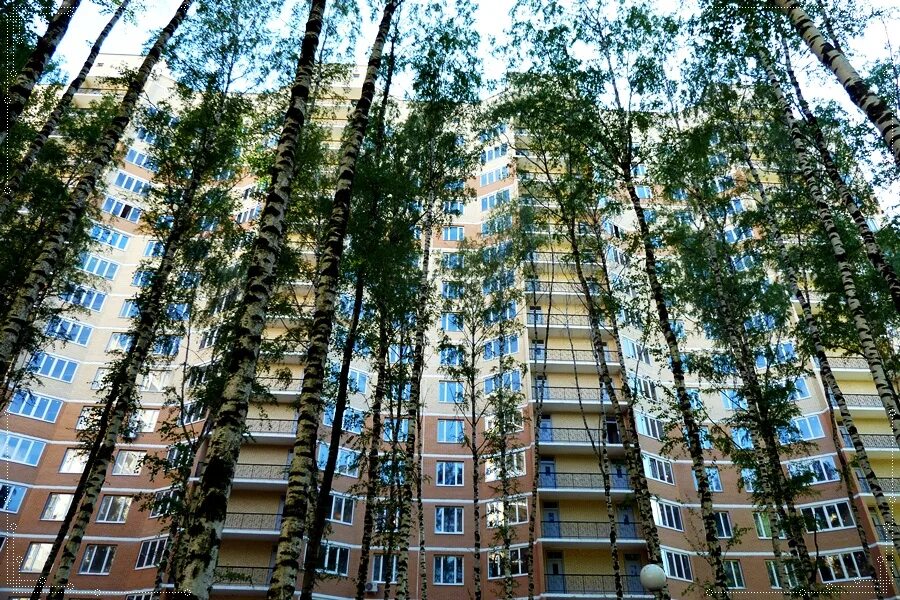 Ул крымская д 2. Раменское крымская 2. крымская д 4 раменское. г раменское ул крымская д 2. раменское ул.крымская д.4.