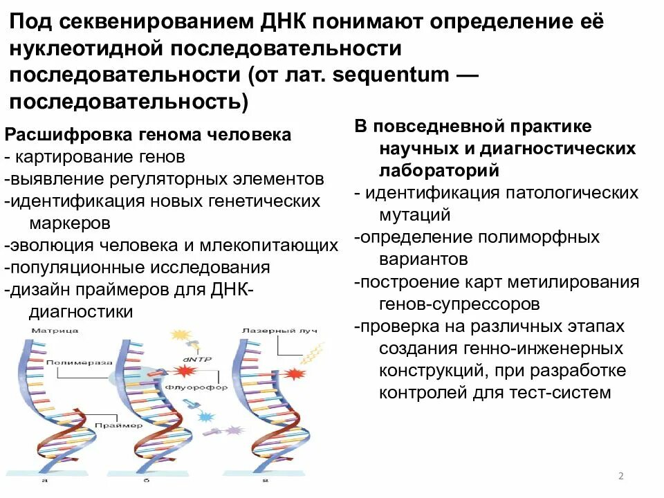 Секвенирование гена. Секвенирование генов и геномов. секвенирования днк. секвенирование геномной днк. секвенирование это в биологии.