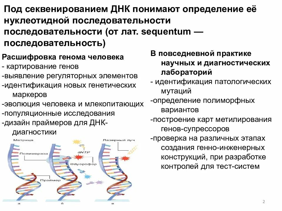 Секвенирование нуклеотидов. Секвенирование генов и геномов. Секвенирования ДНК. Секвенирование геномной ДНК. Секвенирование это в биологии.