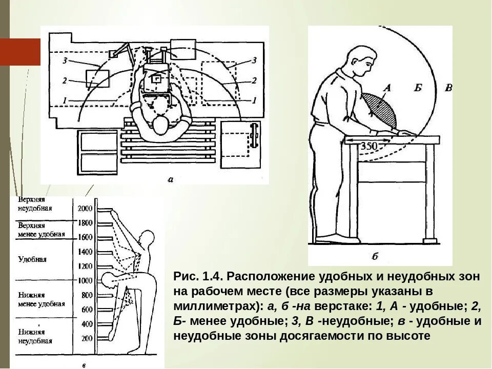 Схема рабочего места слесаря. Организация рабочего места, выполняемых работ (порядок, схема).. Схема организации рабочего места плотника. Эргономика рабочего места слесаря.