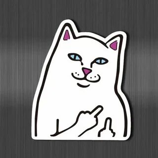 Коте факе