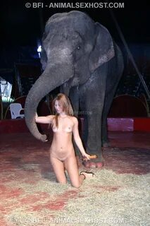 Elefant porn - best adult videos and photos