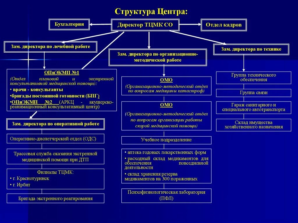 Отдел группа служба. Организация работы территориального центра медицины катастроф. Бригада экстренного реагирования состав. Бригада экстренного реагирования ТЦМК. Отдел организации медицинской помощи.