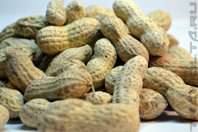 почему арахис не орех. земляной арахис. американский земляной орех. арахис дубайский. арахис сырой.