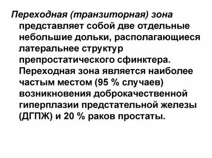 Зоны предстательной железы pi