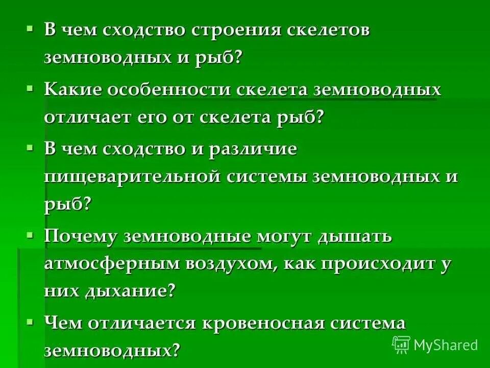 В чем сходство рыб и амфибий. Сходства и различия земноводных от рыб. Схожтсов хемноводных и рыб. Сходство скелета земноводных и рыбы. Назовите черты сходства строения земноводных и рыб