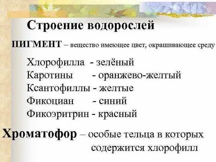 Отдел красные водоросли пигменты