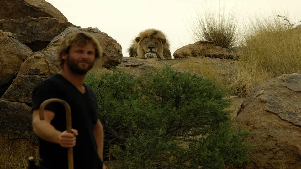 Guide david