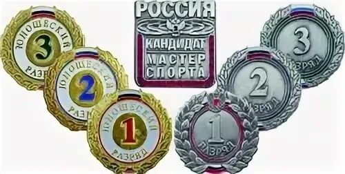 Значки спортивных разрядов. Разрядные виды спорта. Разрядные виды спорта. Значки спортивных разрядов. Разрядные виды спорта.