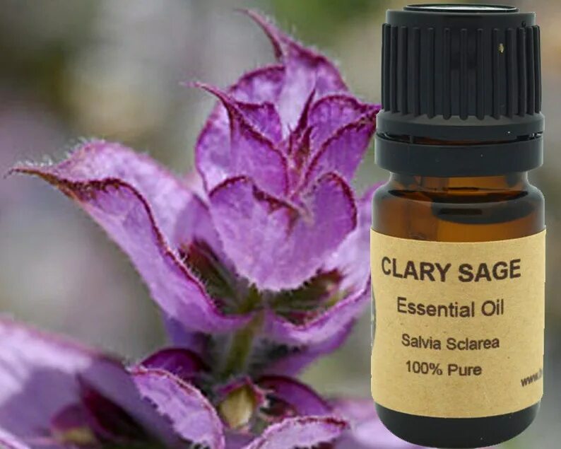 Масло шалфея для чего. 5мл эфирное масло шалфей. clary sage эфирное масло. шалфей мускатный clary sage doterra. ароматика эфирное масло шалфей мускатный.