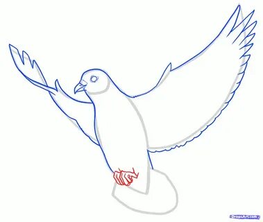 Как рисовать голубей