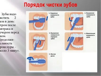 Гигиена полости рта как часто