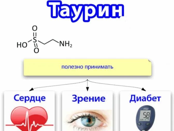 Таурин. Таурин в организме. Таурин аминокислота. Таурин для человека.