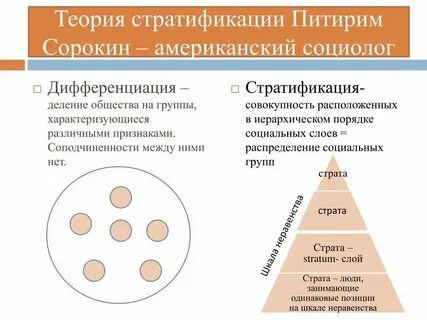 Что определяет деление общества на группы