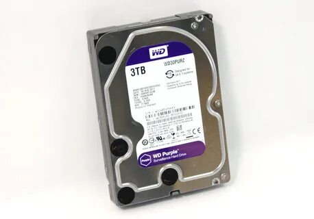 Wd purple dns