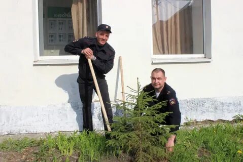 Новости алапаевска свежий выпуск сегодня