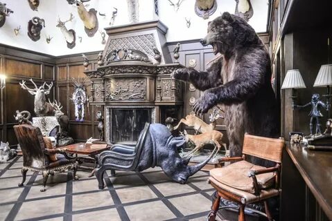 Дом трофеев трейлер