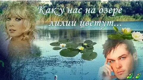 Песня лилии цветут а мою любимую