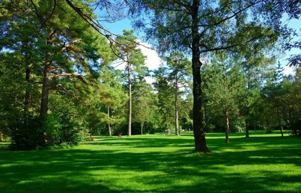 Зеленые зоны Краснодар. Дендрологический парк зеленая роща. Лесопарковая зона Сочи. Парк зеленая роща Екатеринбург. Зеленая зона 5