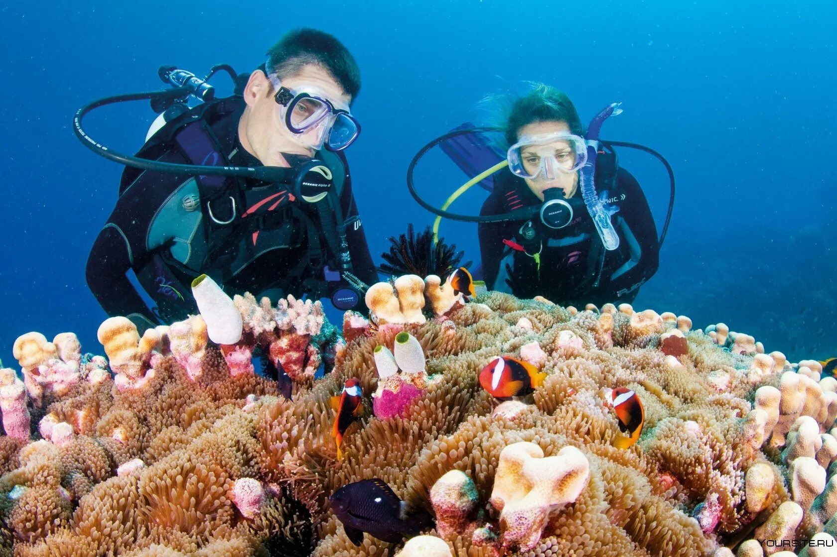 Reef tourism. Большой Барьерный риф дайвинг. Большой Барьерный риф (Северо-Восточное побережье Австралии). Австралия дайвинг большой риф. Дайверы на большом барьерном рифе.