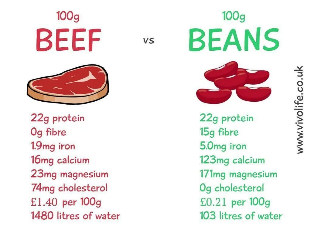 Life is what happens. Beans Protein. 100 Gr Dry Beans Protein. Бобы в протеин. Iron meat.