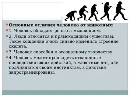 Назовите главные признаки отличающие человека от животных