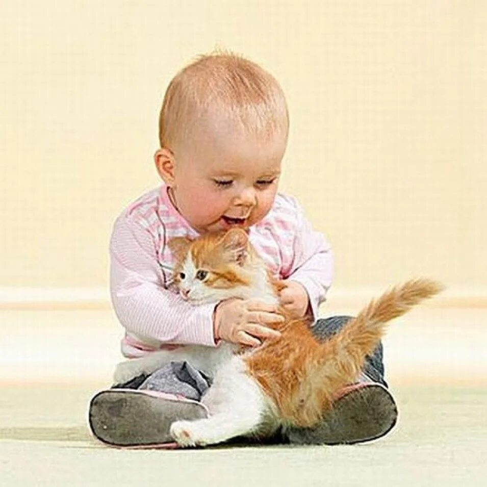 Котенок играет малыша. Кот для детей. Котёнок-ребёнок. Дети с животными. Дети и коты.