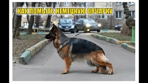 Мы в нем