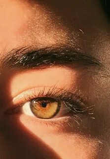 Brown 1 eyes