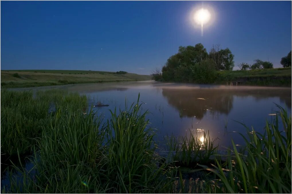 Река смотрящие лун. Летняя ночь на реке. Пруд ночью. Ночь лето река. Ночь река месяц.