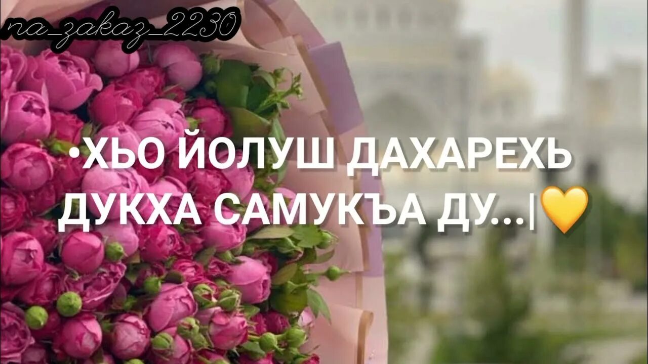 Нена йиша декъал йойла. Дал декъал йойл хьо мама.