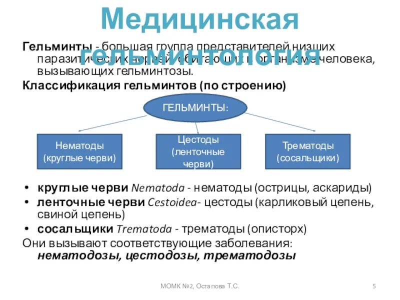 Характеристика и классификация гельминтов. Гельминты человека классификация. общая характеристика и классификация гельминтов. классификация гельминтозов. классификация гельминтозов человека.