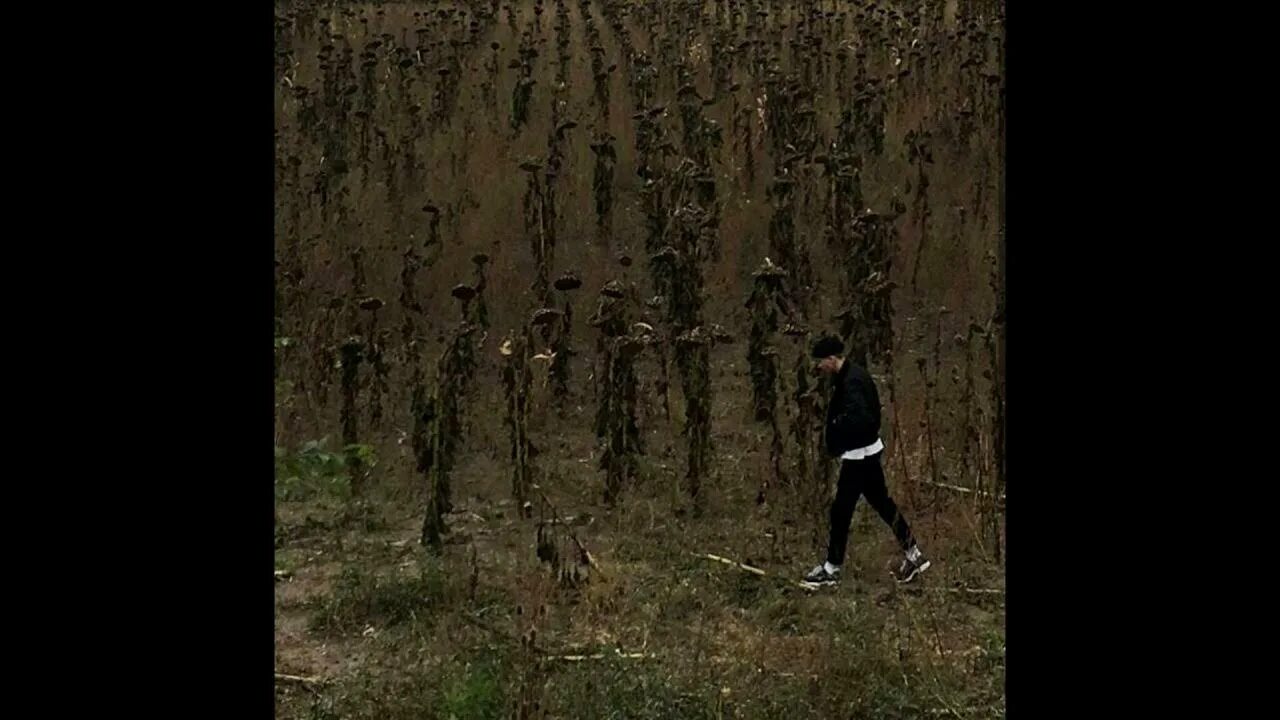 Вышел покурить на дне. Вышел покурить на дне. Вышел покурить на дне черной воды. Вышел покурить. Юра авангард на дне черной воды.