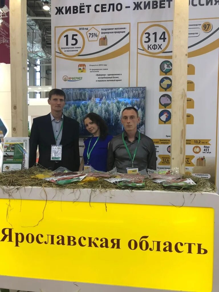 Кфх ярославский. Спспк ярославский кролик.
