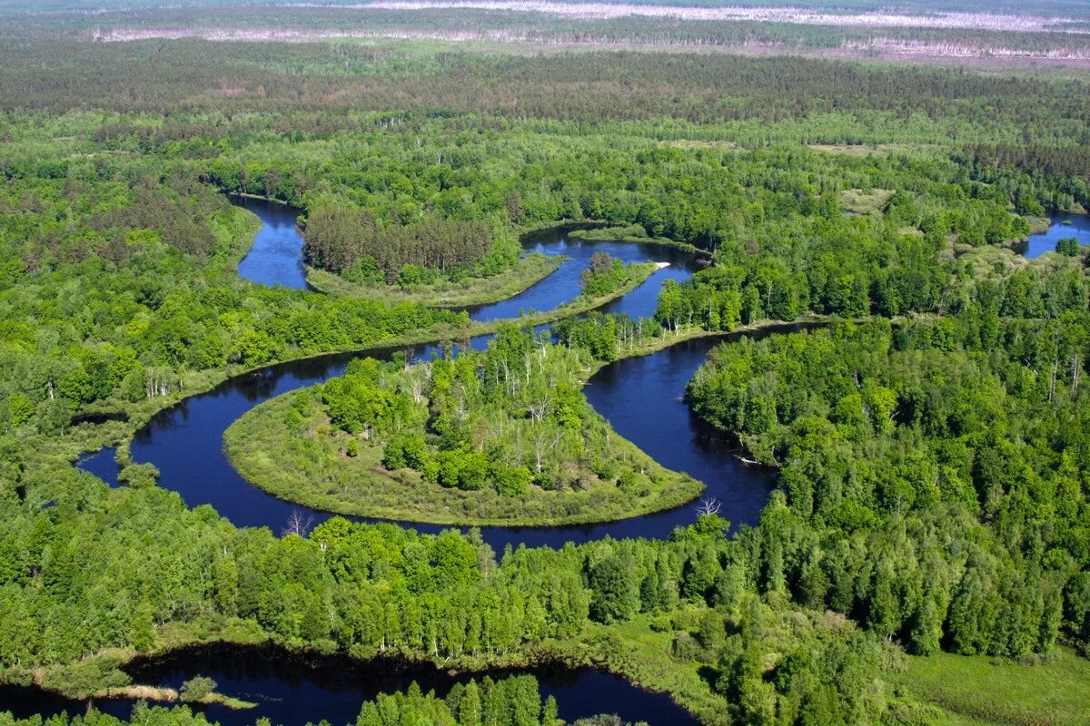 чёрные земли заповедник сайгаки. баргузинский заповедник озера. заповедные угодья. абакан заповедник хакасский. заповедные угодья.