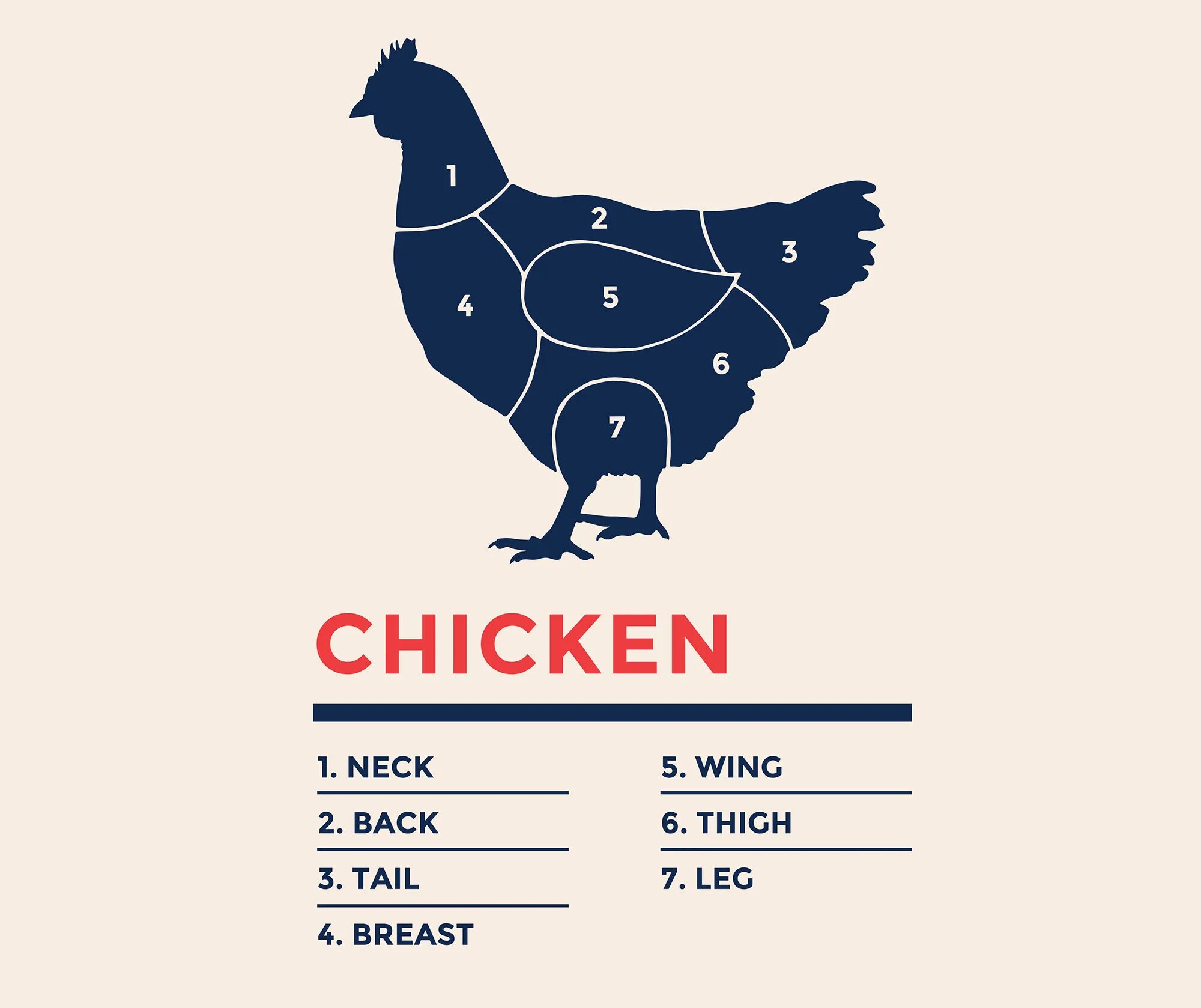 Слова chicken chicken. Части курицы схема. Chicken Cuts схема. Части курицы название. Курица схема фото.