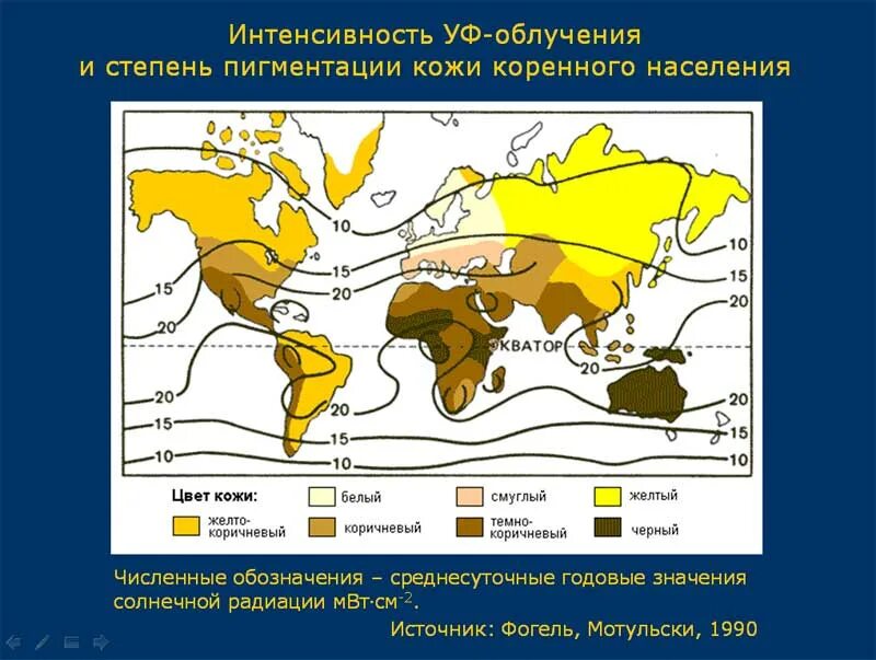 Кожевенное на карте. Карта распределения цвета кожи. Карта распределения пигментации кожи. Карта распределения цвета кожи людей среди коренных популяций. Распределение людей по цвету кожи.