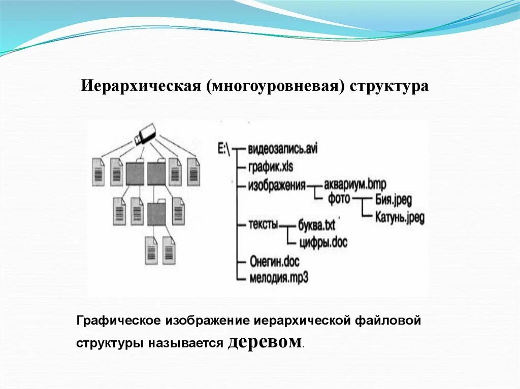 Графические изображения информатика 7 класс. Иерархическая файловая структура информатика 7 класс. файловая система. иерархическая структура файловой системы.. многоуровневая файловая структура. графическое изображение иерархической структуры.