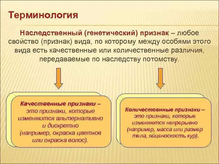 Качественные признаки в генетике. Генетические признаки. Наследственные признаки. Генетический признак государства. Информация о наследственных признаках