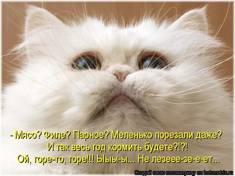 Жаль картинки. Жалка тебя не было. Я конченый бегите мем. Кавказская пленница шурик птичку жалко. Жалка тебя не было.