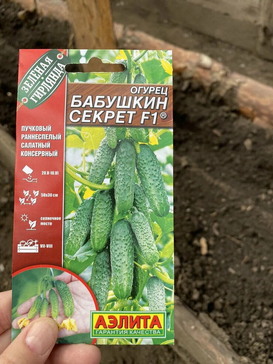 Огурец сорт кузнечик. Семена огурцов партнер. огурец кузнечик ф1. семена огурцов кузнечик. огурцы фирмы партнер.