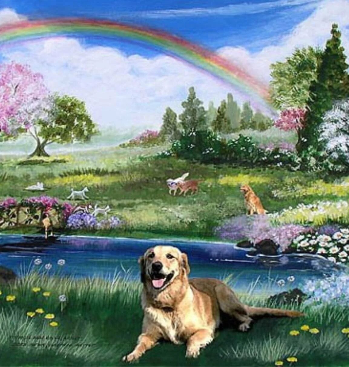 Уходящий волк. Волк уходит. Собаки уходящие. Собака уходит. Собаки уходящие.