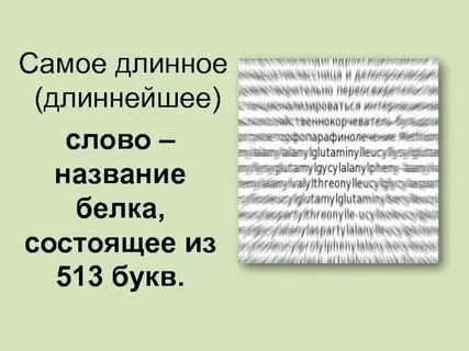 Самое длинное имя сколько букв
