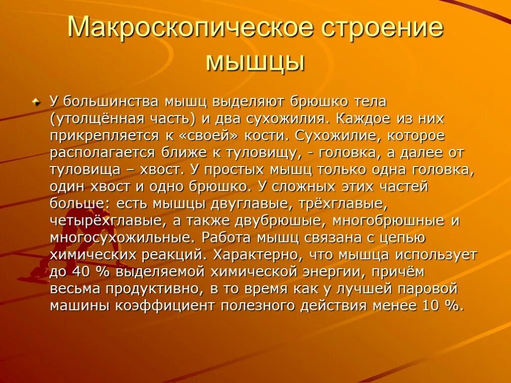 Сообщение о нравственном человеке