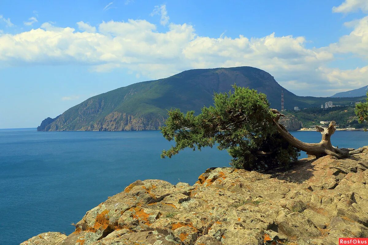 Утес Партенит Крым мыс Плака. Гора медведь в Крыму. Мыс Аю Даг Крым. Аю-Даг медведь-гора.