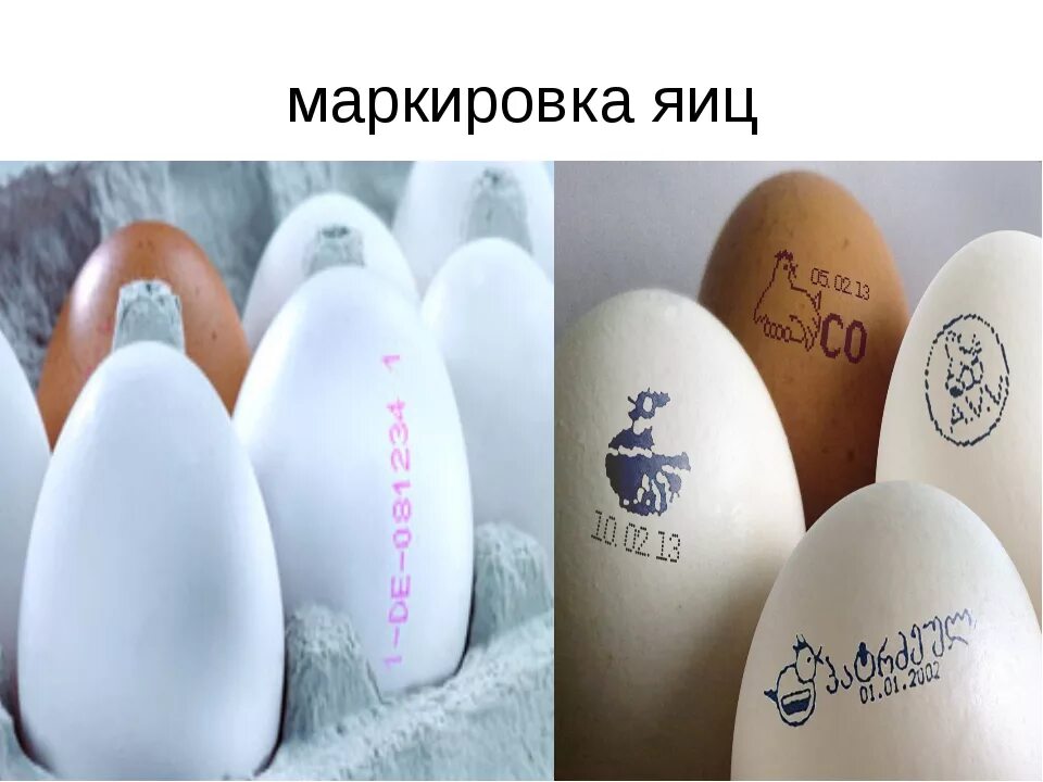 Маркировка яиц куриных. Маркировка яиц. маркировка диетических яиц. штамп для яиц.