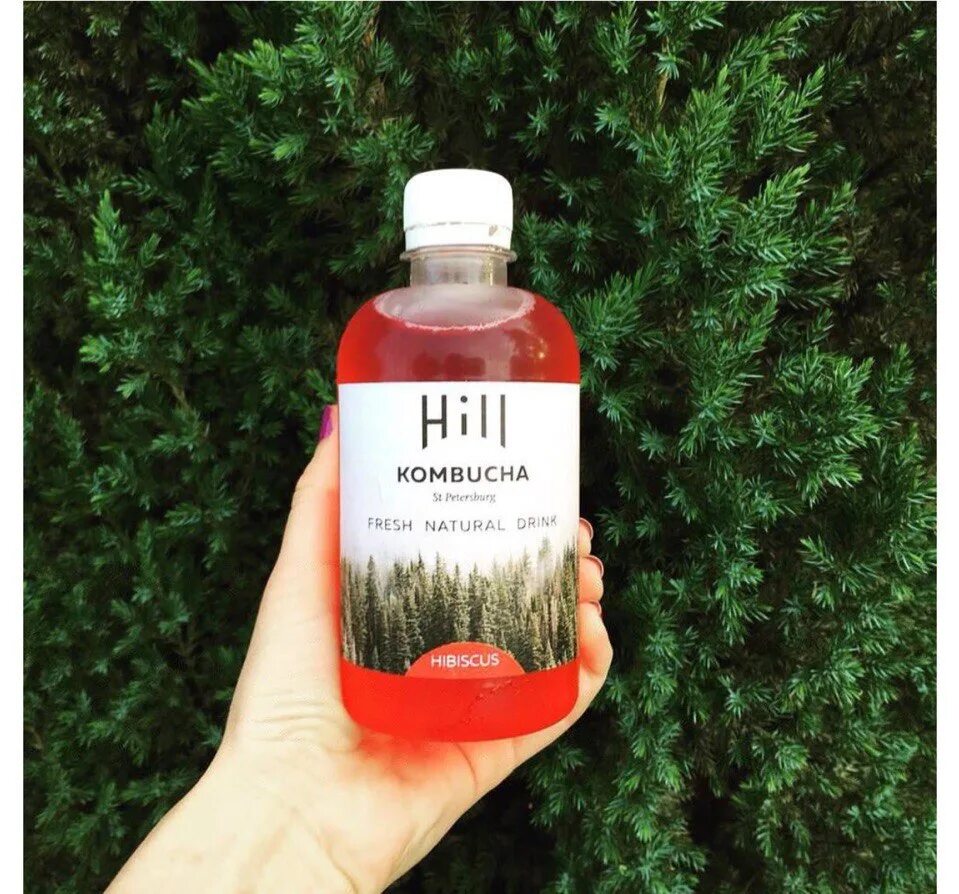 Комбуча гибискус. Комбуча Hill. Напиток Kombucha Hill. Комбуча Merry Kombucha.