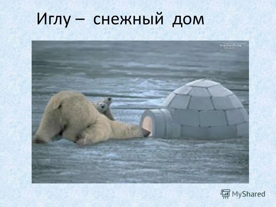 Описание иглу. Иглу жилище эскимосов. иглу презентация. иглу доклад. иглу жилище сообщение.